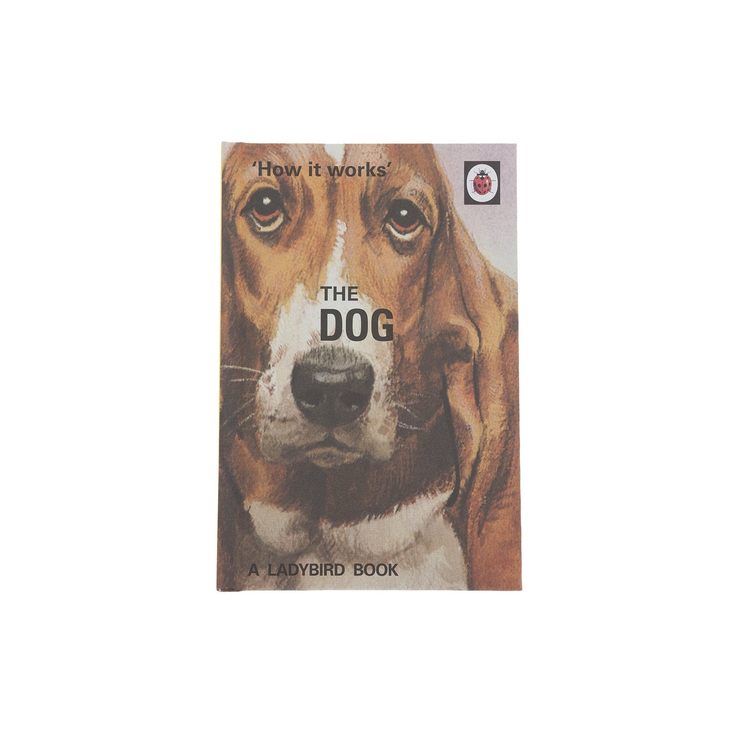 How It Works: The Dog Book - A Complete Guide to Dog Care, Training & Behavior | Perfect for Pet Owners & Dog Lovers