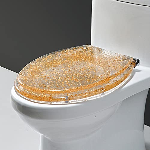 JIAJIAJIE Comfort Toilet Seat - Transparent Resin Elongated Oval Toilet Seat with Cover, Acrylic Bathroom Seat Universal Fit for Modern Homes (Gold Leaf) - Perfect for Luxury Bathrooms, Guest Rooms & Spa Retreats