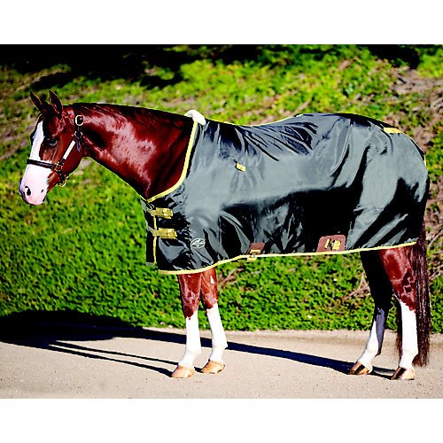 Professional's Choice Nylon Day Sheet 72