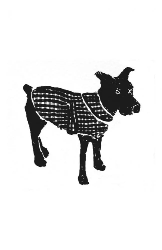 Stylish Barka Dog Coat - Waterproof & Warm Winter Jacket for Small to Large Dogs - Perfect for Outdoor Walks & Cold Weather Adventures