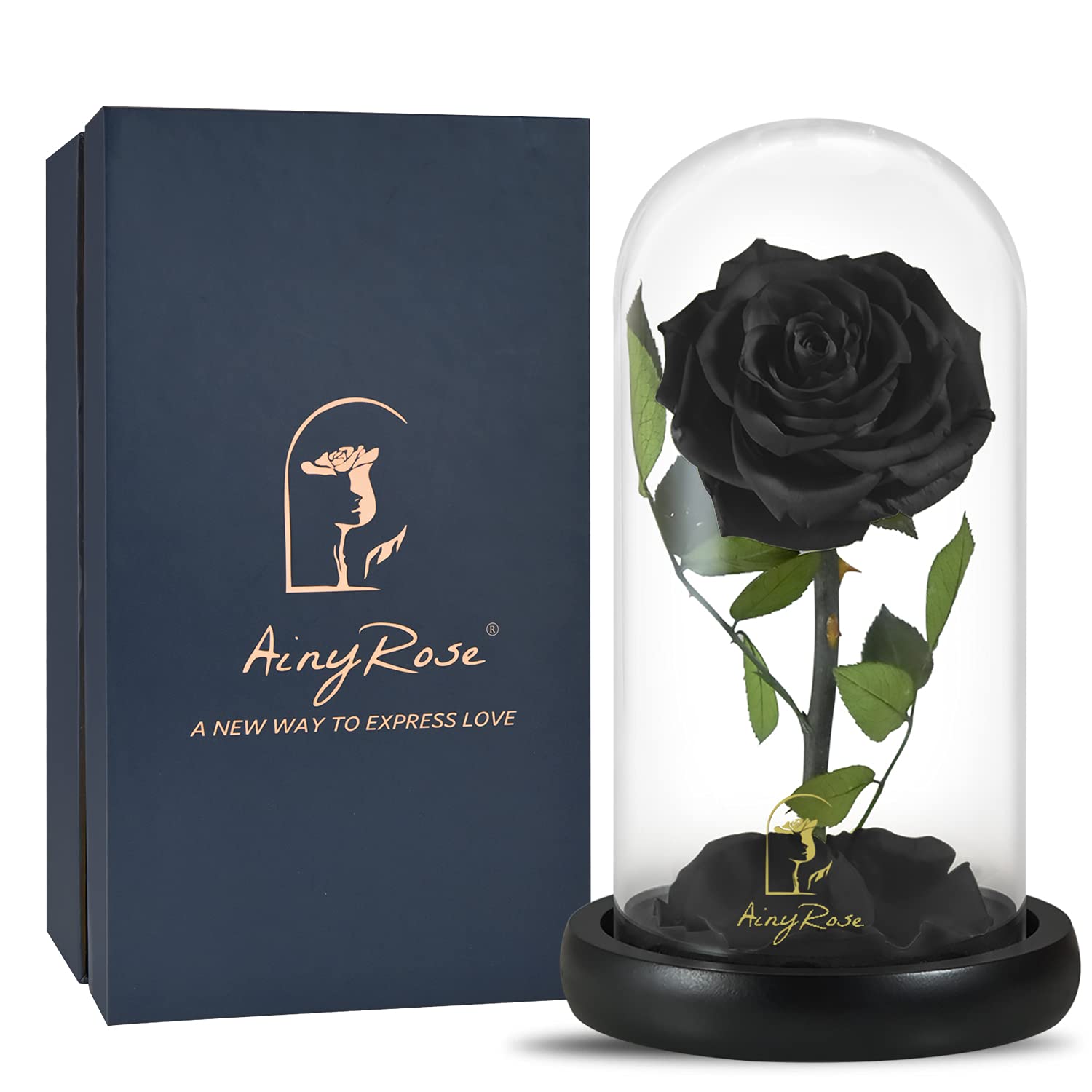Forever Preserved Real Rose Gift - Black Eternal Flower in Glass Dome for Anniversary, Birthday, Valentine's Day, Mother's Day & Christmas | Romantic Keepsake for Her, Wife, Girlfriend | Perfect Home Decor & Sentimental Gift for Special Occasions
