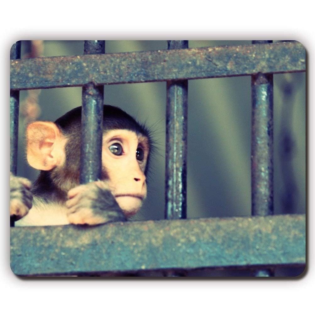 Premium Gaming Mouse Pad - Non-Slip Rubber Base, Smooth Surface for PC & Laptop - Perfect for Office Work & Esports (Monkey Design) - Ideal for Gaming, Graphic Design & Daily Computer Use