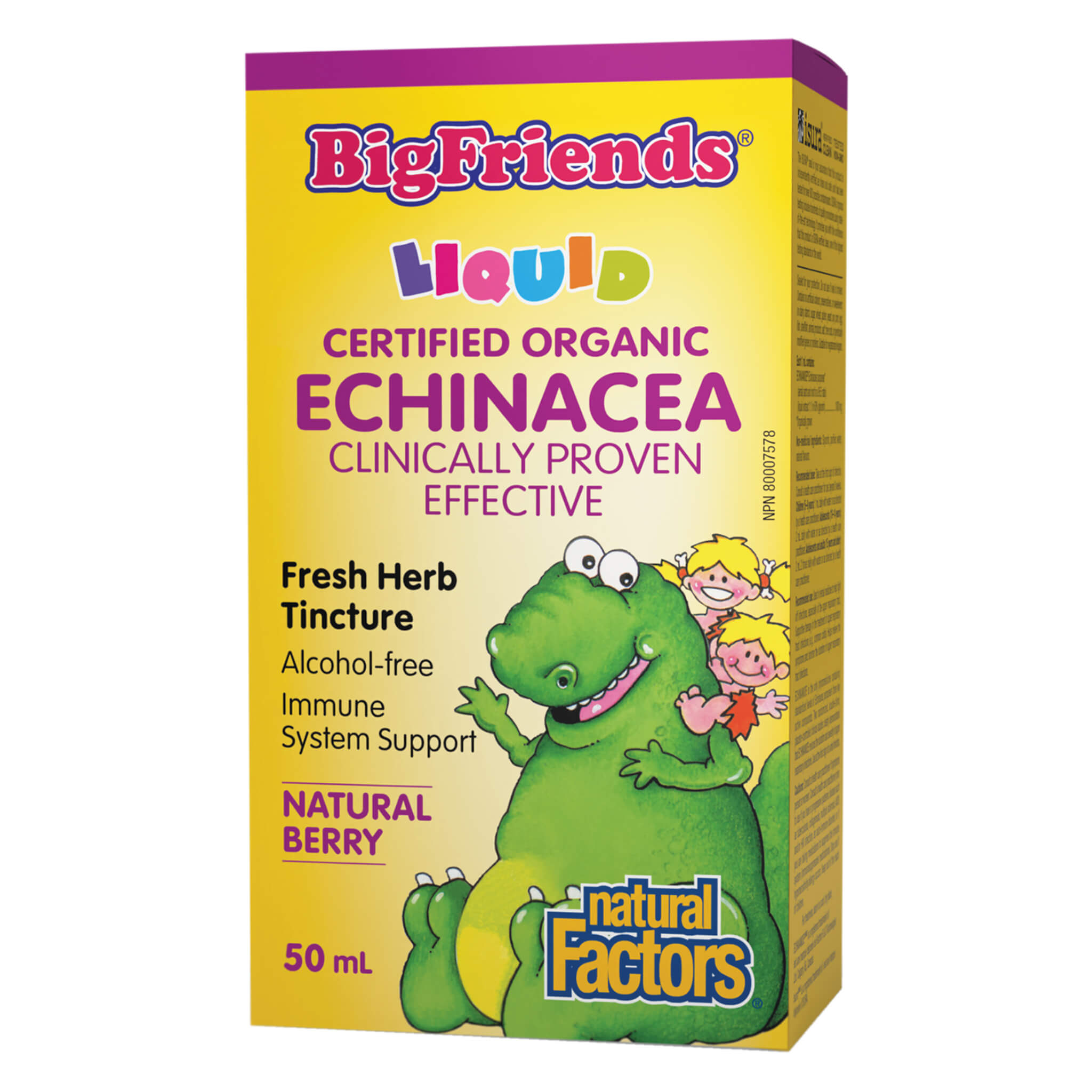 Big Friends Echinacea Alcohol-Free Herbal Tincture - Immune Support Supplement for Adults & Kids - Perfect for Cold & Flu Season Wellness