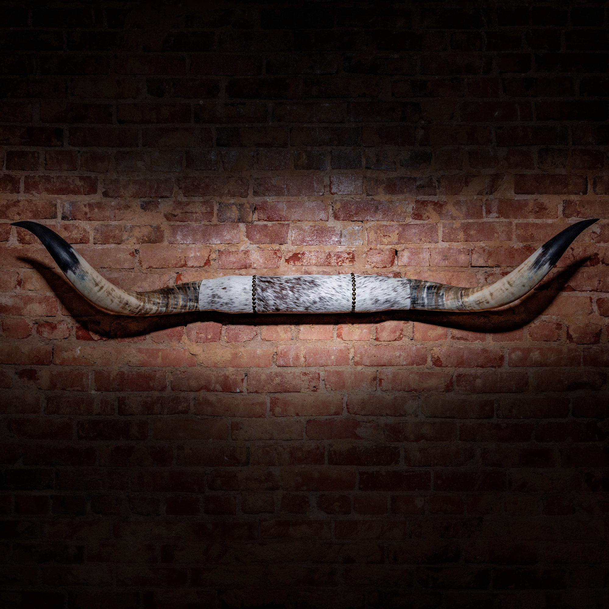 Premium Mounted Longhorn Horns with Black Tips & Spotted Cowhide Wrap - Western Wall Decor for Ranch, Cabin, or Home Bar