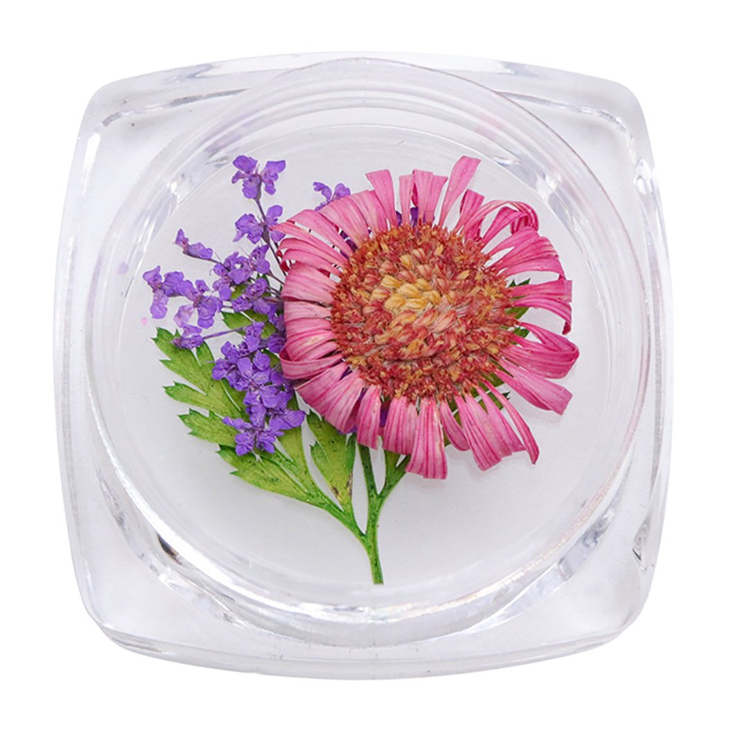 CACAZI Natural Dried Flowers for Nail Art - DIY Pressed Flower Nail Accessories Kit with Nail Art Stones - Perfect for Manicure, Pedicure & Creative Nail Designs at Home or Salon