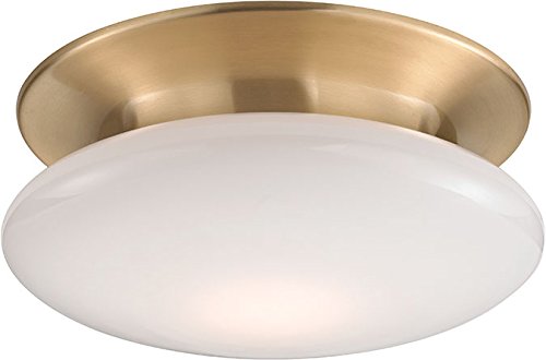 Hudson Valley 7012-SB Irvington Energy Star Flush Mount Ceiling Light Fixture - 1-Light LED Brass Finish for Bedroom, Hallway & Kitchen Lighting
