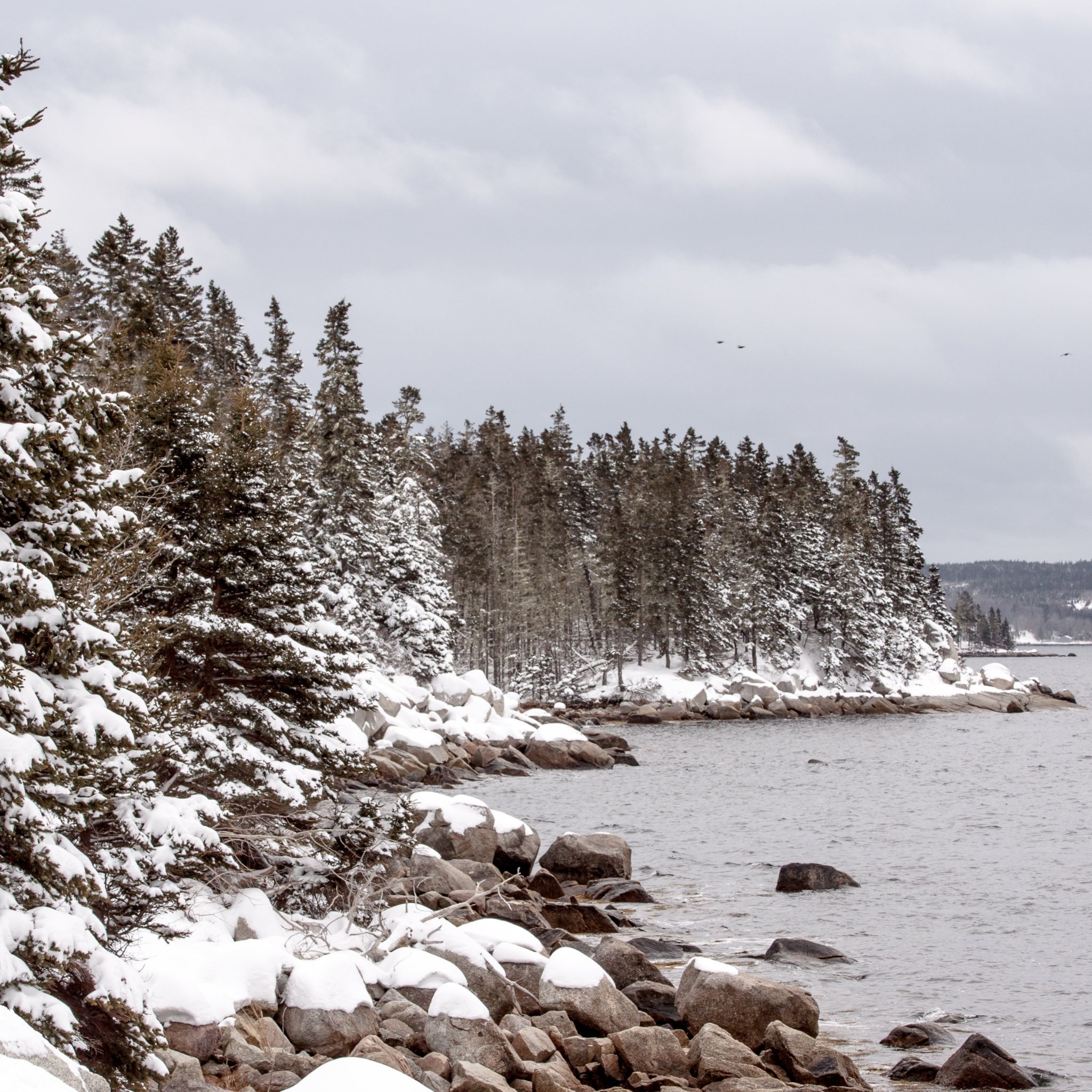 Winter Shore Fragrance Oil - Premium Scented Aromatherapy Oil for Home Diffusers, Candles & DIY Crafts - Create Cozy Winter Atmosphere