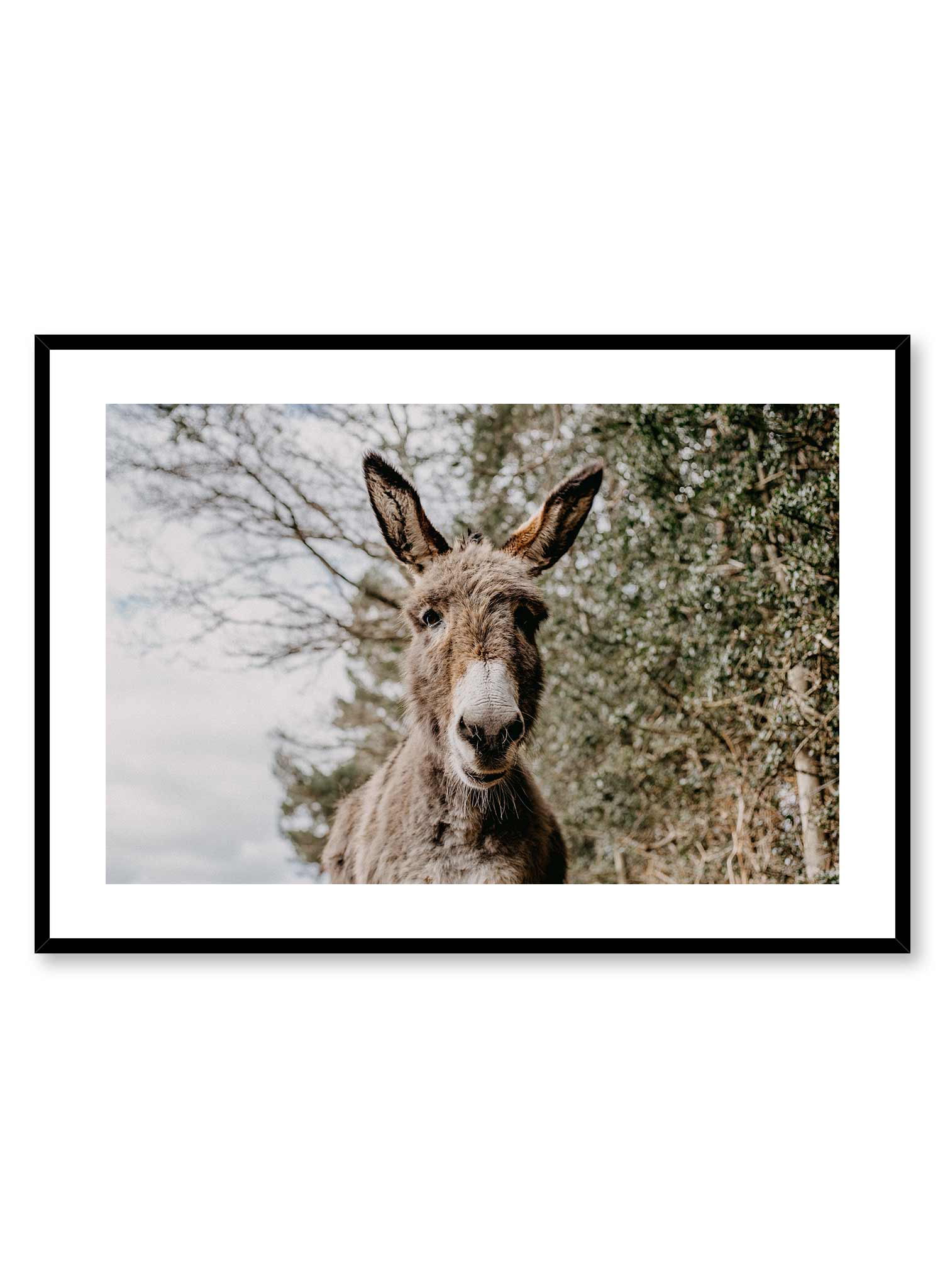 Friendly Donkey Wall Art Poster - Cute Donkey Print for Nursery, Kids Room & Farmhouse Decor - Perfect for Home, Office & Classroom Decorations