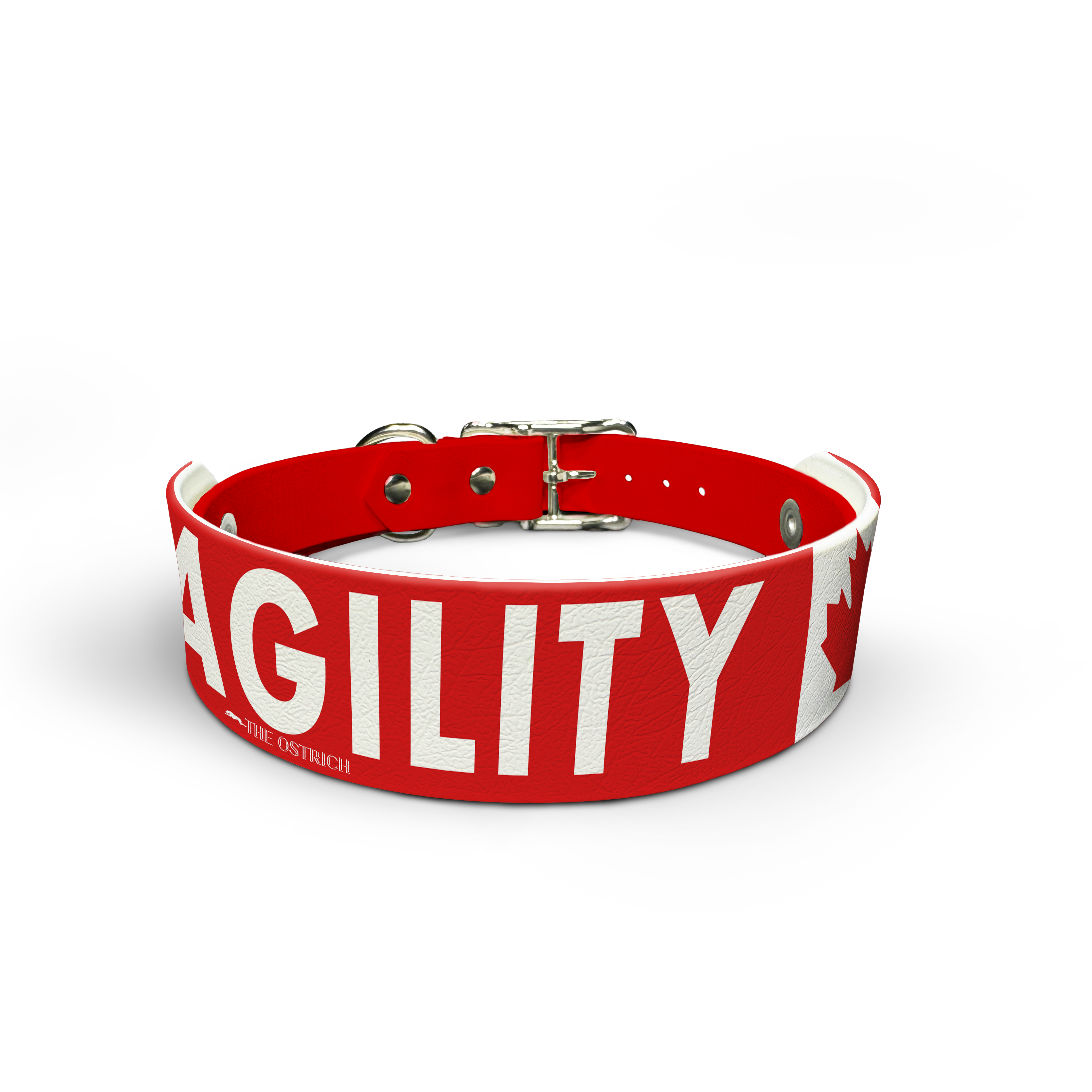 Agility Canada Snappy Dog Collar & Leash Set - Adjustable, Durable Pet Training Accessories for Small, Medium & Large Dogs - Perfect for Walks, Training & Outdoor Adventures
