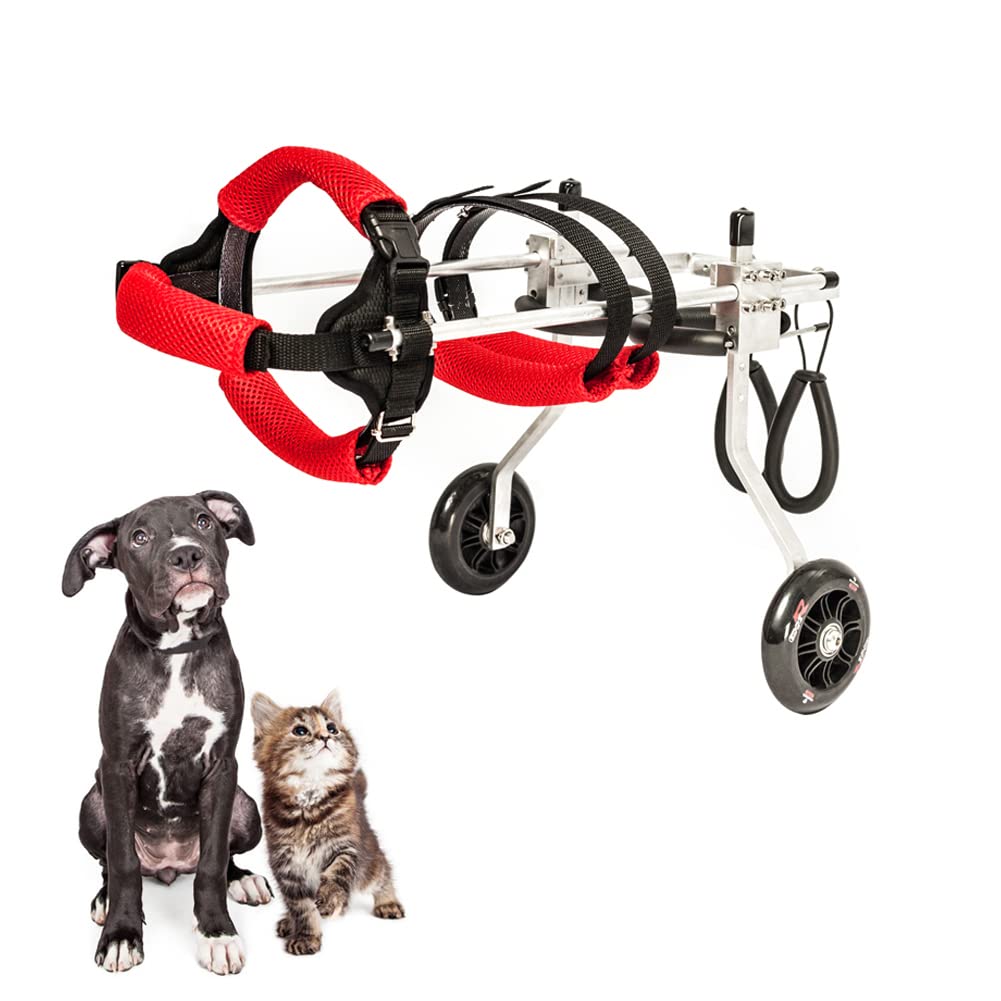 Adjustable Dog Wheelchair for Small Pets - Lightweight Pet Mobility Cart for Hind Leg Paralysis, Recovery & Support (Medium, Red) - Perfect for Indoor & Outdoor Use, Walks & Rehabilitation