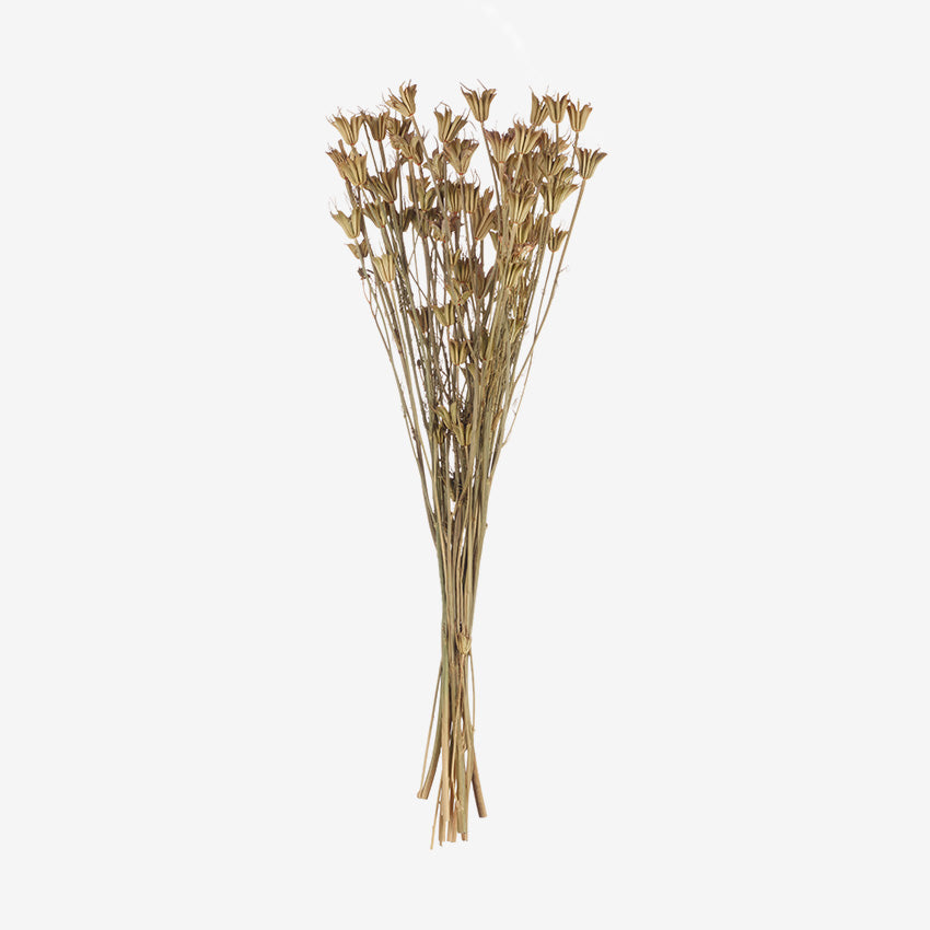 Asa Germany | Achillea Nature Foliage - Premium Artificial Greenery for Home Decor, Wedding Centerpieces & Office Styling
