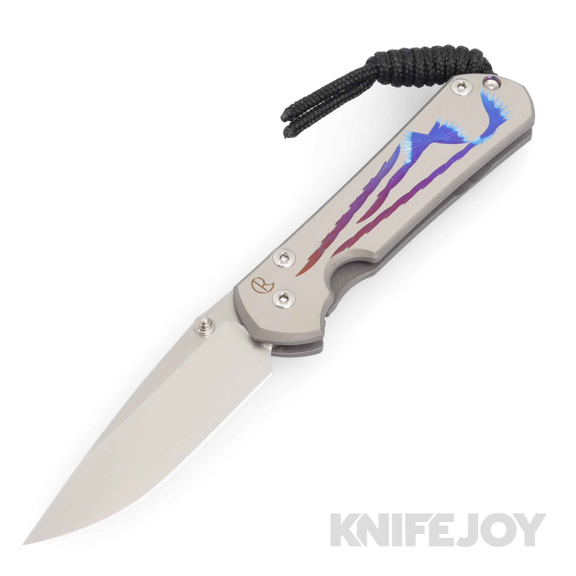 Chris Reeve Knives Small Sebenza 31 Drop Point Magnacut Blade - Premium Titanium Handles, Unique Design for EDC & Outdoor Use