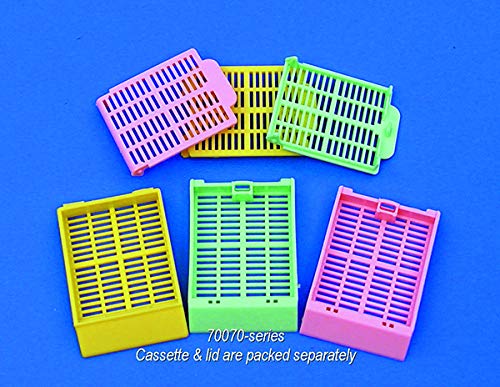 Aqua Slotted Cassette with Attached Lids - Pack of 500 (3 Cases) - Perfect for Office Organization, School Supplies & Craft Storage