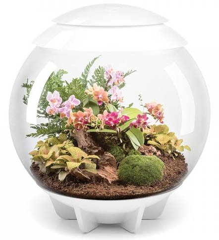 BiOrb Air White 60L Terrarium - Modern Glass Reptile Habitat for Lizards, Snakes & Geckos - Perfect for Home, Office or Classroom Decor with Live Plants