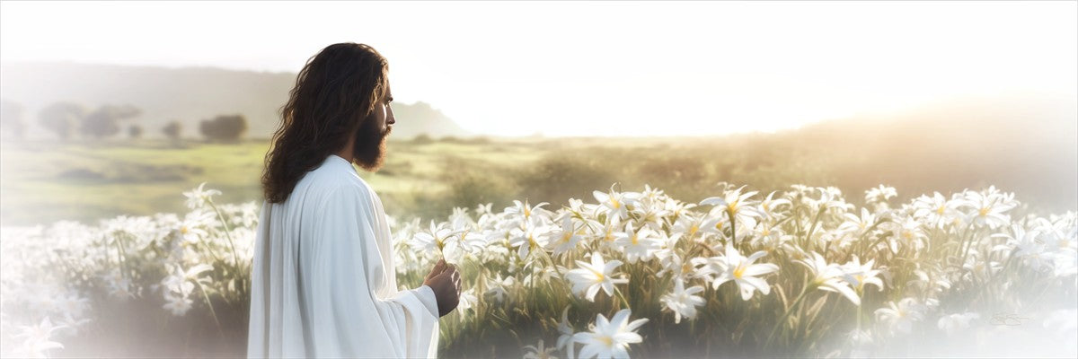 Consider The Lilies - Inspirational Christian Wall Art Decor for Home, Office & Church | Perfect for Gifts, Bible Study & Faith-Based Interior Design