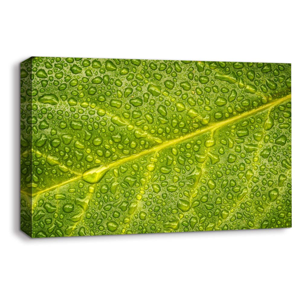 Wall26 Canvas Wall Art - Leaf Veins Nature Painting, Framed Home Decor for Bedroom & Living Room, 24x36 Inches | Perfect for Modern Interior Design & Housewarming Gifts