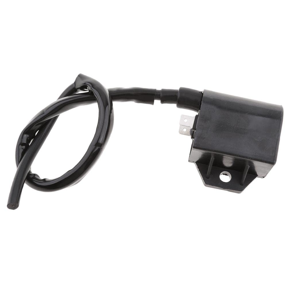 High Performance Ronyme Ignition Coil Replacement for Arctic Cat ATV 400 2x4 & 4x4 Models (1998-2002) - Compatible with 1999, 2000, 2001 - Durable ATV Engine Part for Off-Road Adventures & Trail Riding