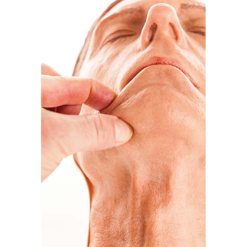Professional Facial Injection Head for Mid-Age Women - Light Skin Version G | Medical Training & Aesthetic Practice Tool