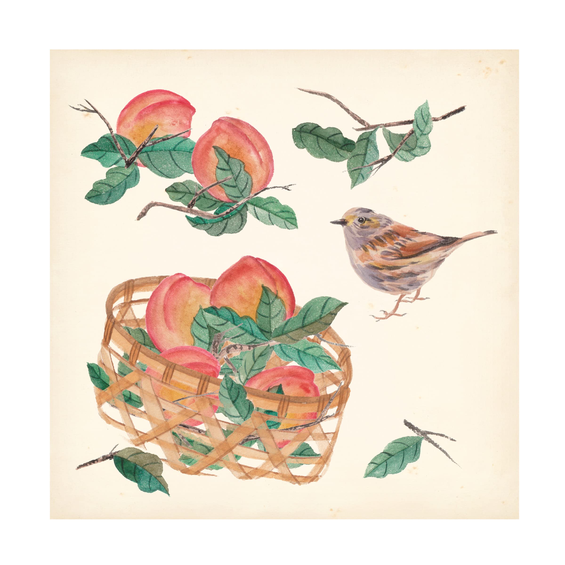 Trademark Fine Art 'Basket With Fruit II' Canvas Wall Art by Melissa Wang - Vibrant Still Life Painting for Kitchen, Dining Room & Farmhouse Decor