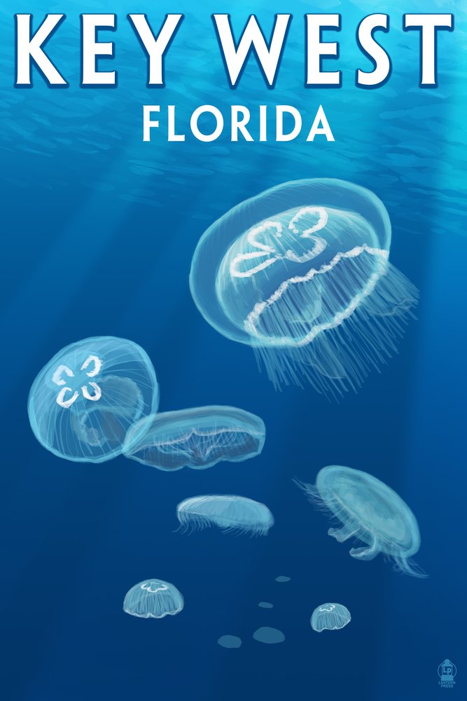 Key West Florida Jellyfish Wall Art - 16x24 Gallery Quality Metal Print, Aluminum Decor for Beach House & Coastal Living Room
