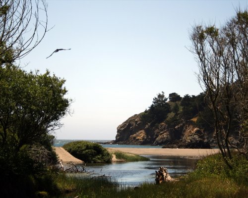 Stunning Muir Beach, Marin County California - 11x14 Inch Framed Wall Art Print - Perfect for Living Room, Bedroom & Office Decor