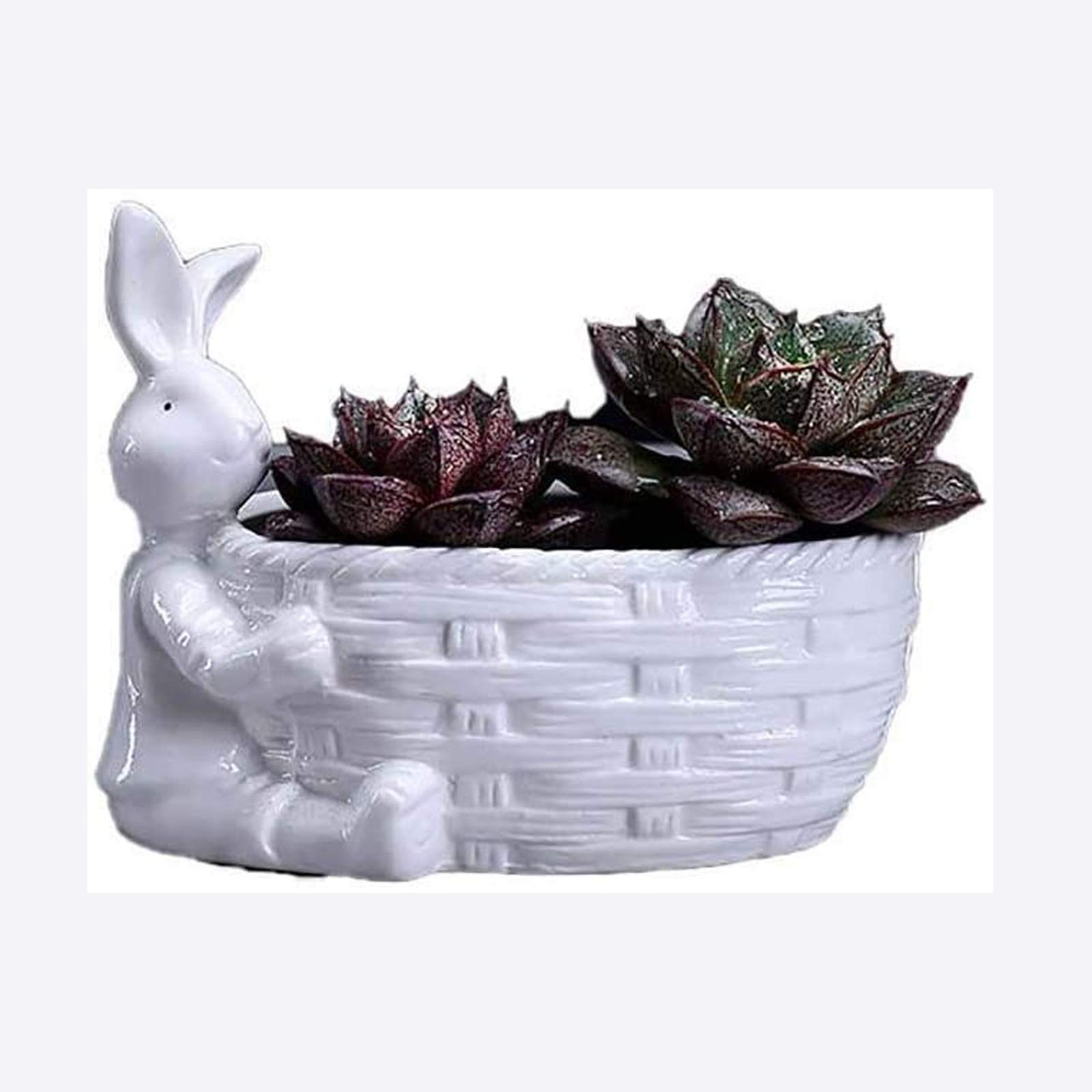 YUEND Creative Cartoon Ceramic Flower Pots - Cute Animal Succulent Planters for Home Decor, Office Desk & Garden | Perfect for Small Plants, Herbs & Indoor Greenery