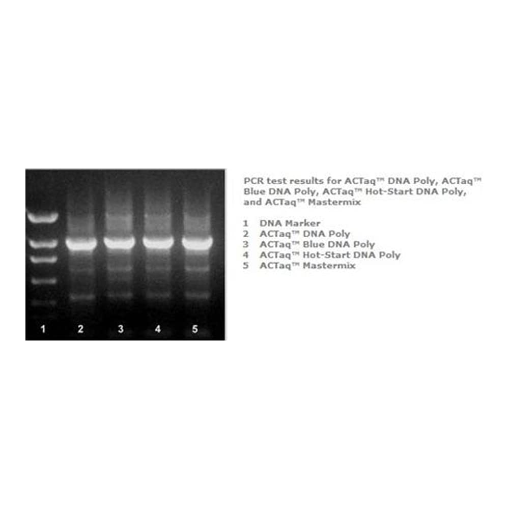 Actaq E2000-1000U High Fidelity DNA Polymerase (1000 Units/Vial) - PCR, Cloning & Genetic Research Applications