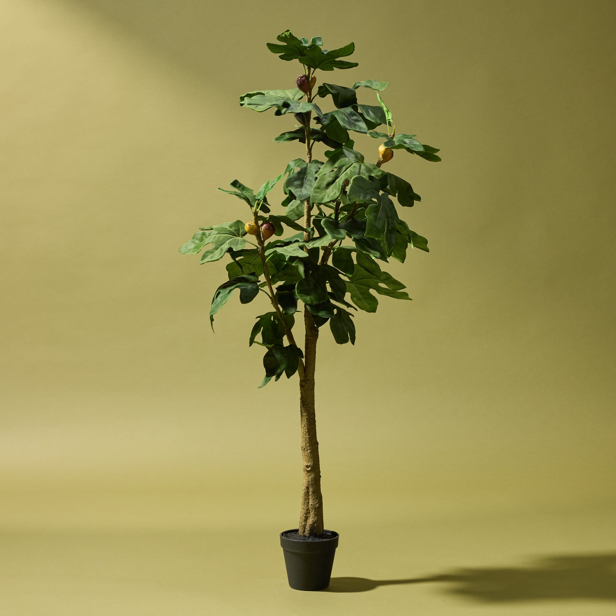 Premium 120cm Artificial Faux Fig Tree in Decorative Garden Pot - Perfect for Home, Office & Indoor Decor