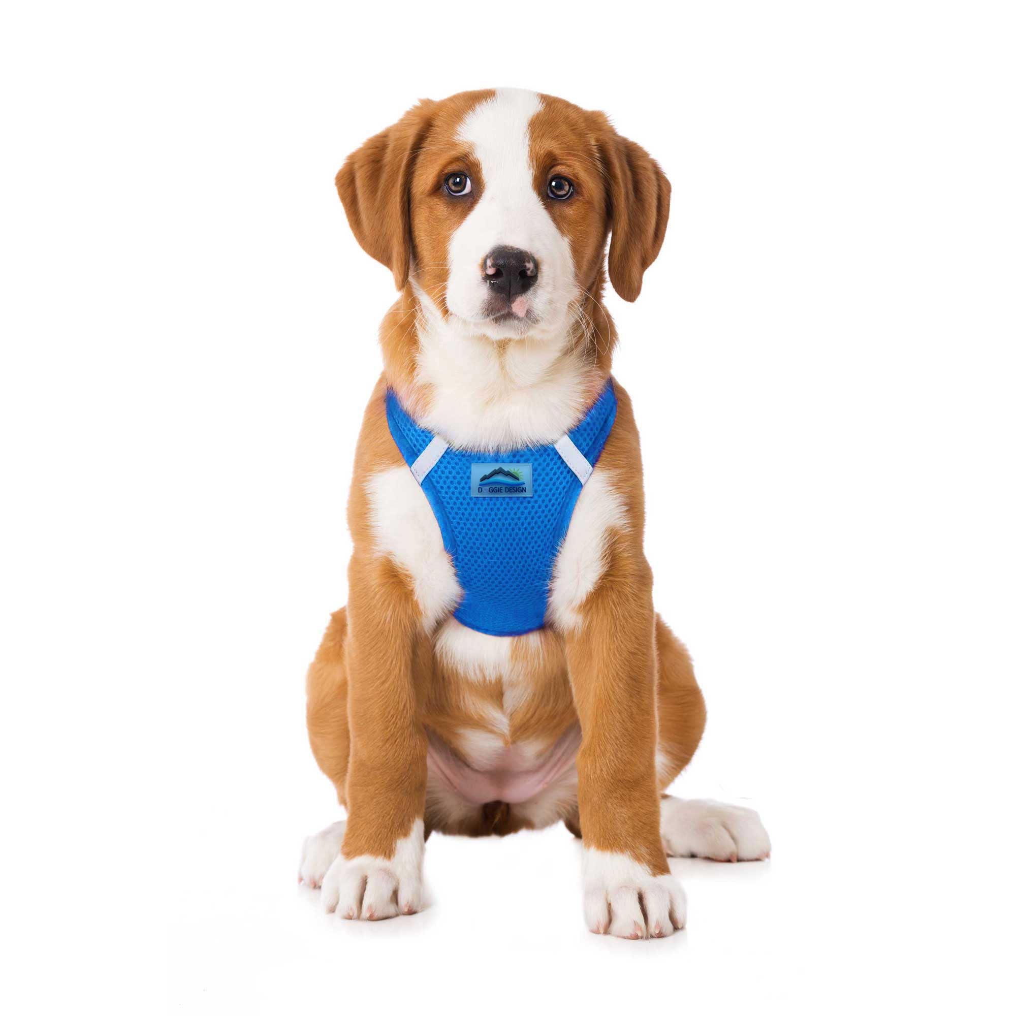 Doggie Design No-Choke Dog Harness - Breathable Mesh Polyester Pet Vest with Easy Step-in Design | Comfortable & Adjustable for Walks, Hiking & Training (Cobalt Blue, Large)