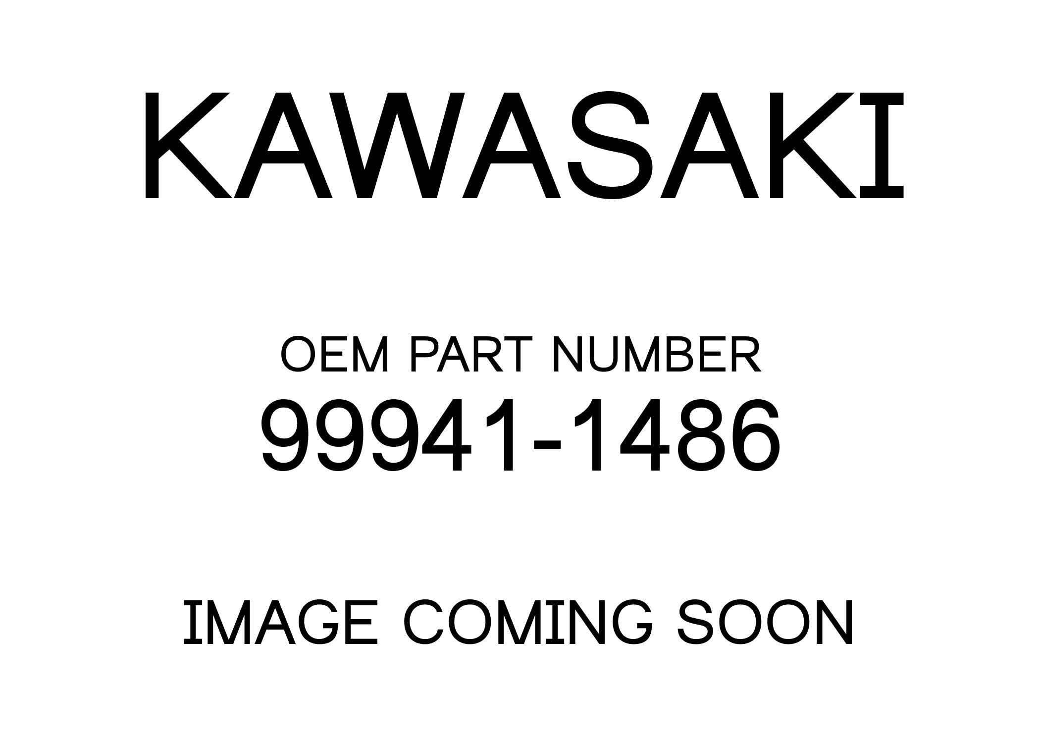 Kawasaki Motorcycle Rear Stand - Green (Part #99941-1486) | Heavy Duty Bike Lift for Maintenance & Storage | Perfect for Kawasaki Ninja, ZX Series & Sport Bikes
