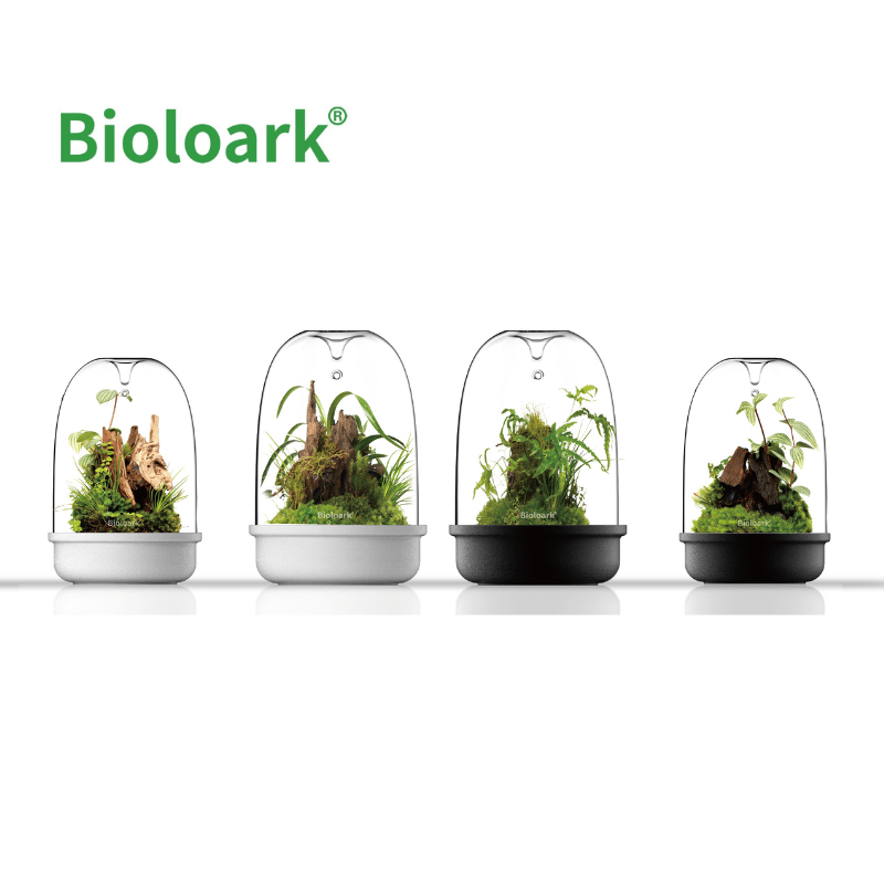 BIOLOARK Bio Bottle Terrarium Kit - Self-Sustaining Ecosystem for Home or Office Decor (150ml/175ml, Black/White) - Perfect for Plant Lovers, Unique Gift Idea & Stress Relief Terrarium