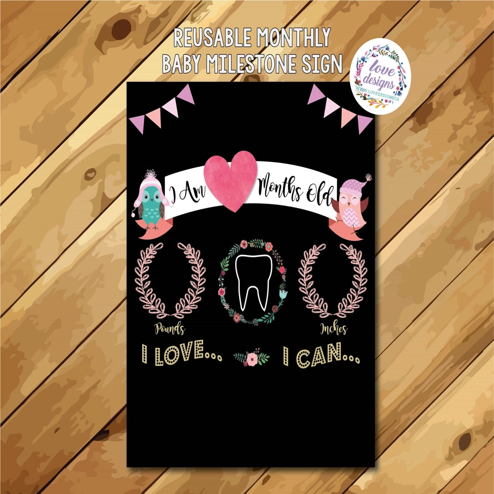 Love Designs Reusable Milestone Birthday Sign with Owls - Perfect for 1st, 10th, 50th Birthday Parties & Baby Showers - Eco-Friendly Celebration Decor