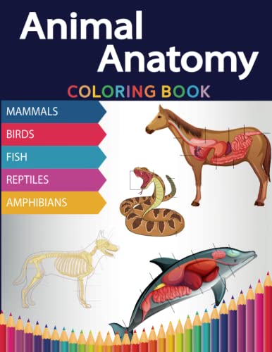 Veterinary Anatomy Coloring Book for Adults & Kids - Zoology Animal Anatomy Guide with Mammals, Birds, Fish, Reptiles & Amphibians | 40+ Fun Facts | Perfect for Veterinary Students, Animal Lovers & Homeschooling