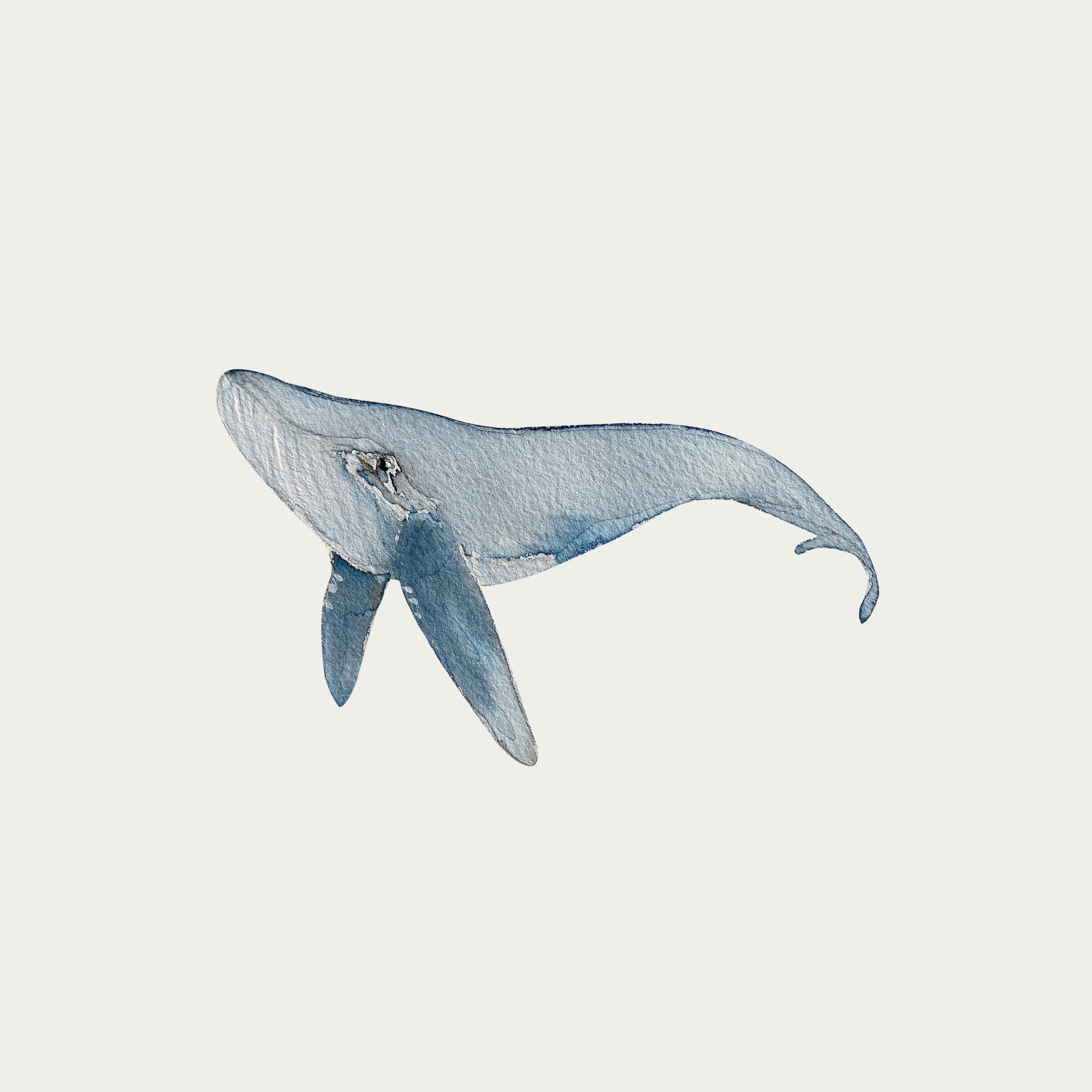Atlas & August Whale 1 Reusable Wall Decal Stickers - Perfect for Nursery, Kids Room Decor & Home Wall Art