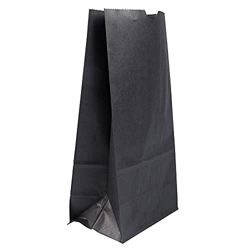 Eco-Friendly Recycled Brown Paper Lunch Bags - Large 6x11 Inches, 25-Pack - Sustainable Kraft Snack & Grocery Bags for School, Picnics & Zero Waste Lifestyle