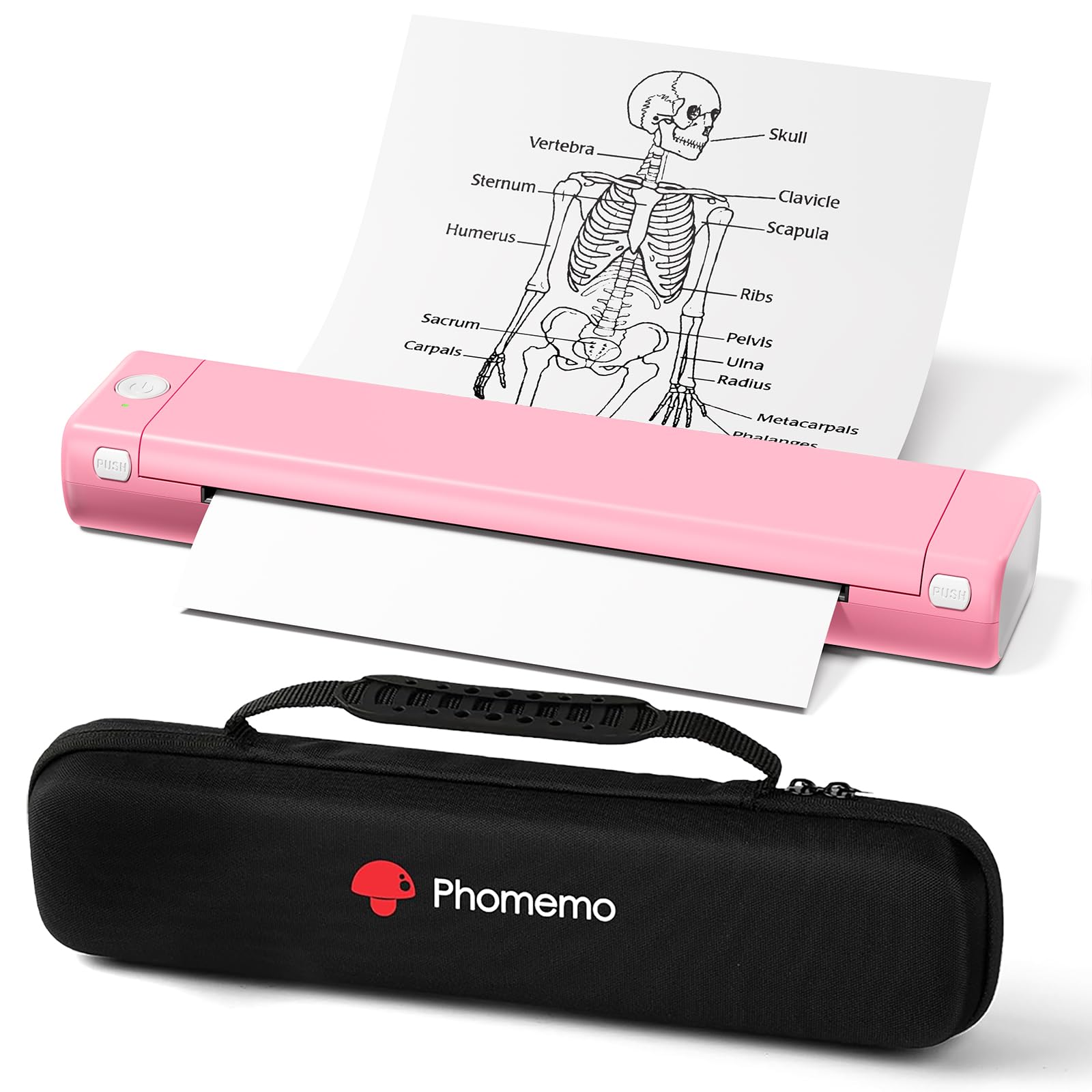 Phomemo Wireless Thermal Printer - Portable Inkless Printer for Travel, Bluetooth Compatible with iPhone Android Phone & Laptop, Supports 8.5