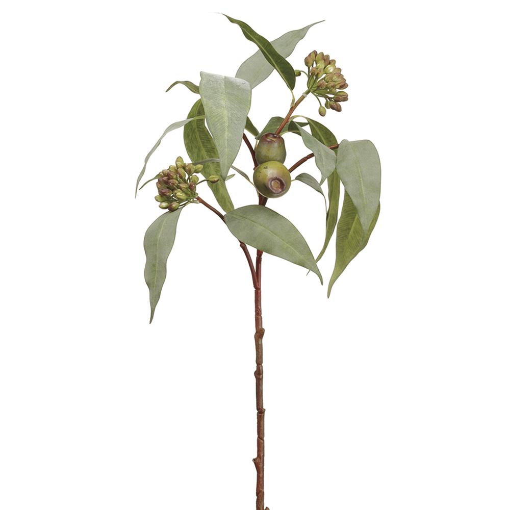 40IN Eucalyptus Seed Spray - Natural Home Decor & Wedding Bouquet Filler - Dried Floral Arrangements for Centerpieces, DIY Crafts, and Rustic Farmhouse Decor