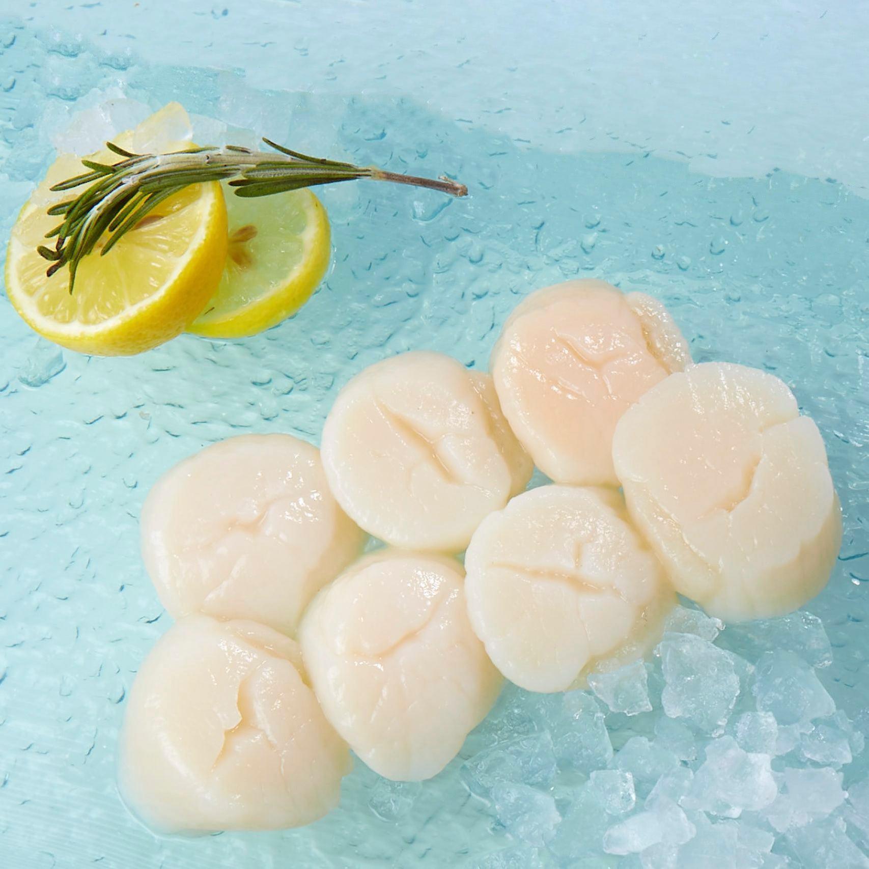 Premium Hokkaido Frozen Scallops 3S Size (1kg) - Wild Caught Japanese Scallops for Sushi, Seafood Pasta & Gourmet Cooking