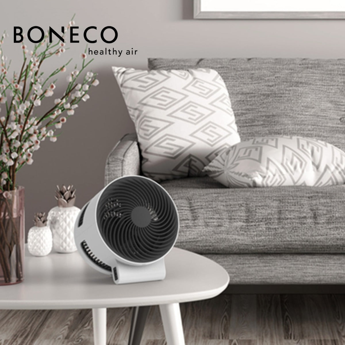 BONECO F100 Desktop Fan - Ultra Quiet Personal Cooling Fan for Home, Office, and Dorm Use | Compact & Energy Efficient Air Circulator for Workspace, Bedroom, or Study Room