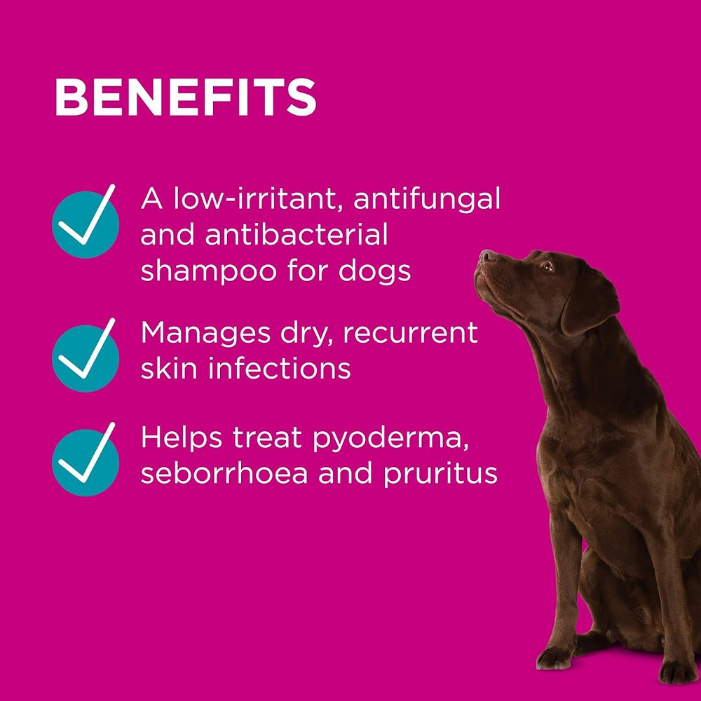 Paw MediDerm Gentle Medicated Dog Shampoo for Skin Allergies & Itch Relief - Soothing Bath Solution for Sensitive Skin & Dermatitis Care | Perfect for Regular Grooming & Veterinary Recommended Use