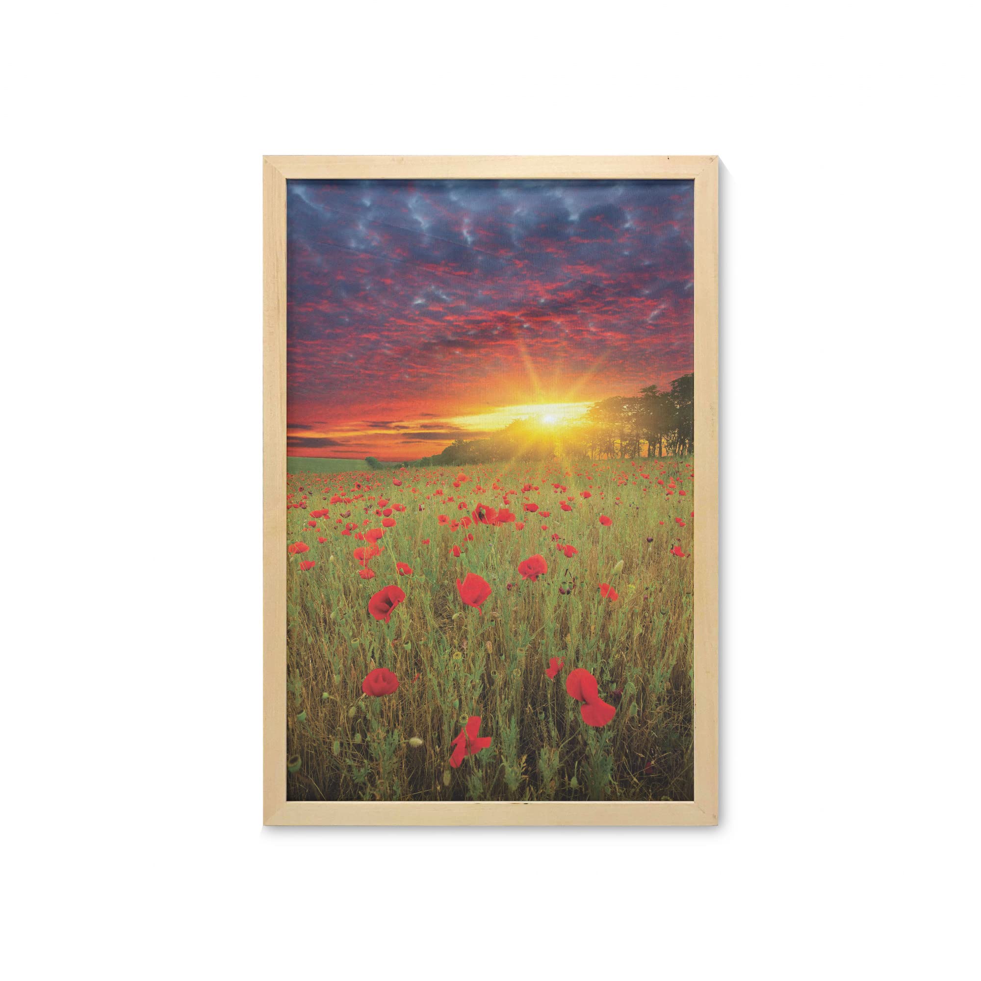 Ambesonne Floral Wall Art with Frame - Meadow Grass & Poppies with Dramatic Sky Background, Printed Fabric Poster for Bathroom, Living Room, Dorm Decor (23