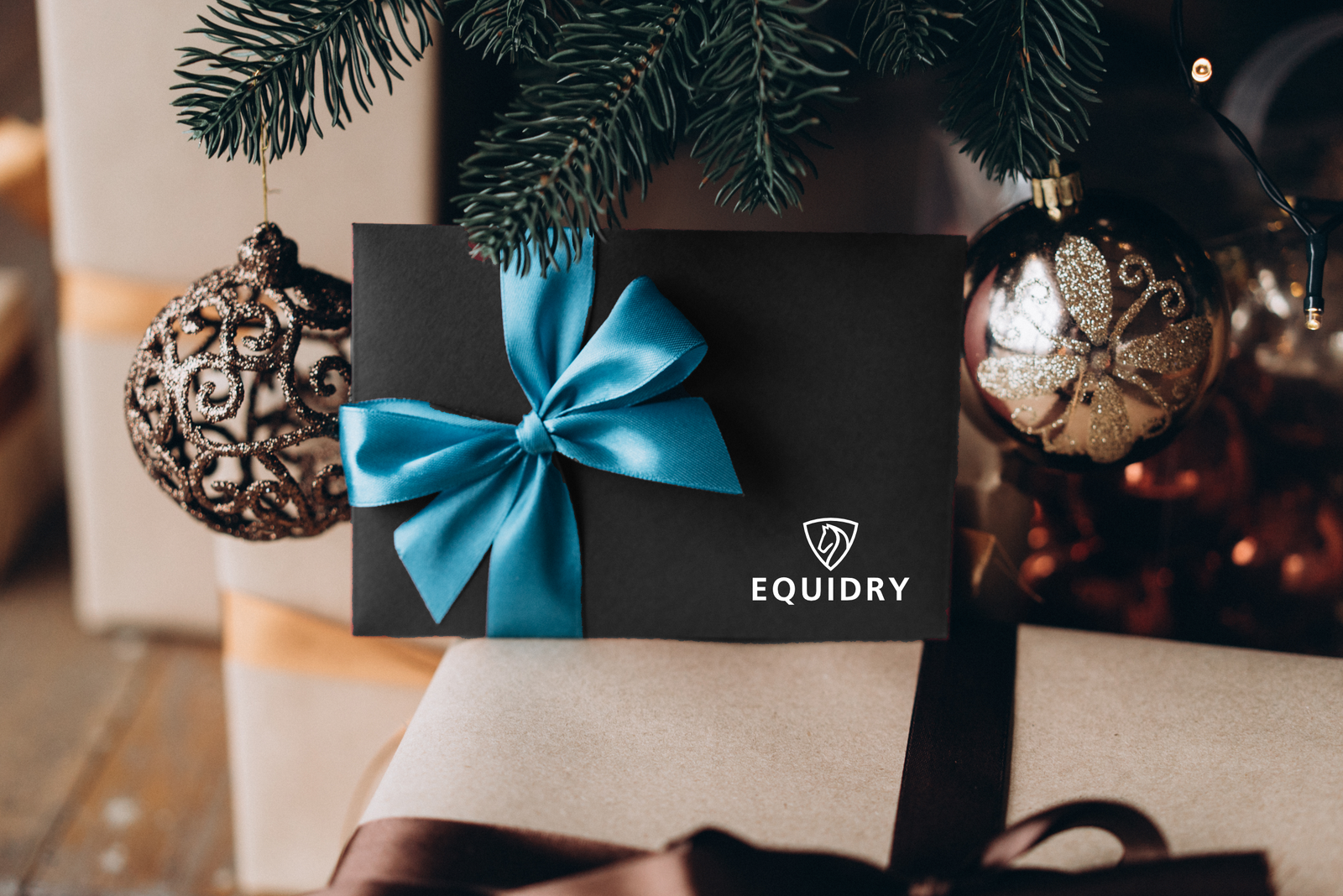 EQUIDRY Digital E-Voucher Gift Card - Perfect for Online Shopping, Gifts & Rewards | Instant Delivery & Easy Redemption