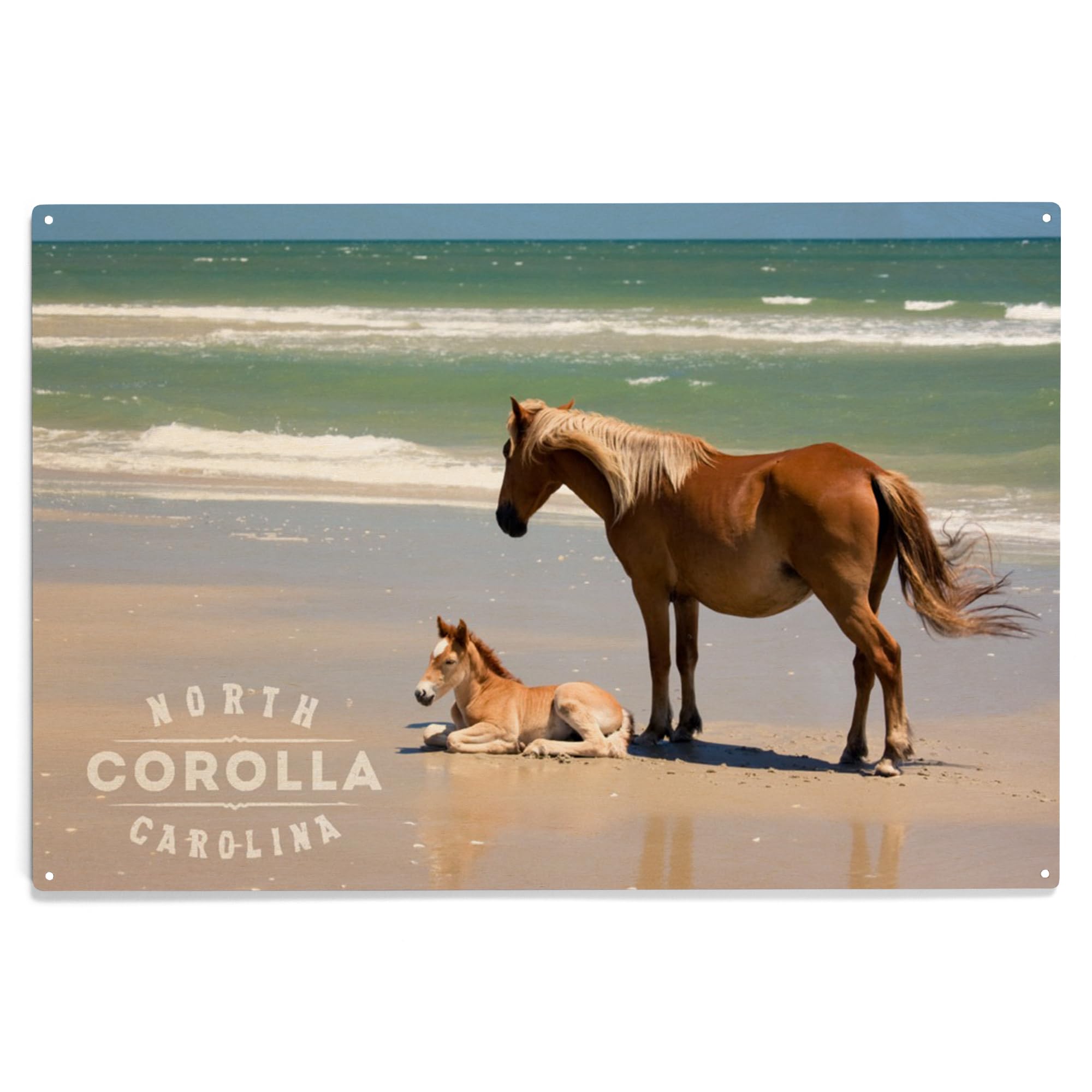 Lantern Press 10x15 Inch Wooden Wall Sign - Corolla NC Beach Scene with Banker Ponies & Foal - Ready to Hang Coastal Home Decor for Living Room, Bedroom or Beach House