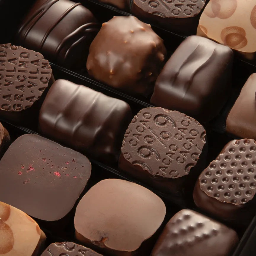 Michel Cluizel 48-Piece Premium Chocolate Bon Bons Gift Box - Assorted Flavors for Holidays, Gifting & Special Occasions
