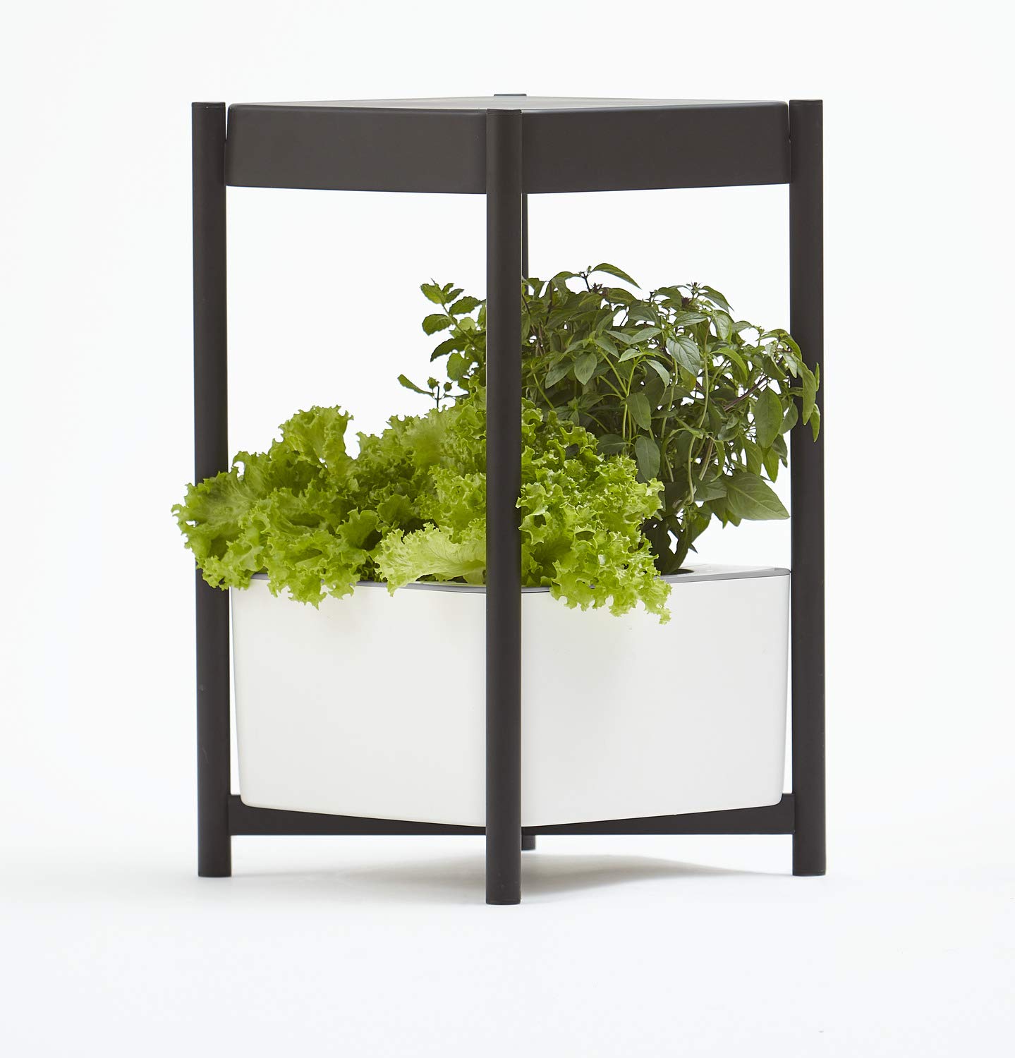 Miracle-Gro Twelve Indoor Growing System with LED Grow Light - Hydroponic Side Table Planter for Leafy Greens, Herbs & Flowers - Perfect for Year-Round Indoor Gardening, Kitchen Herb Garden & Home Decor