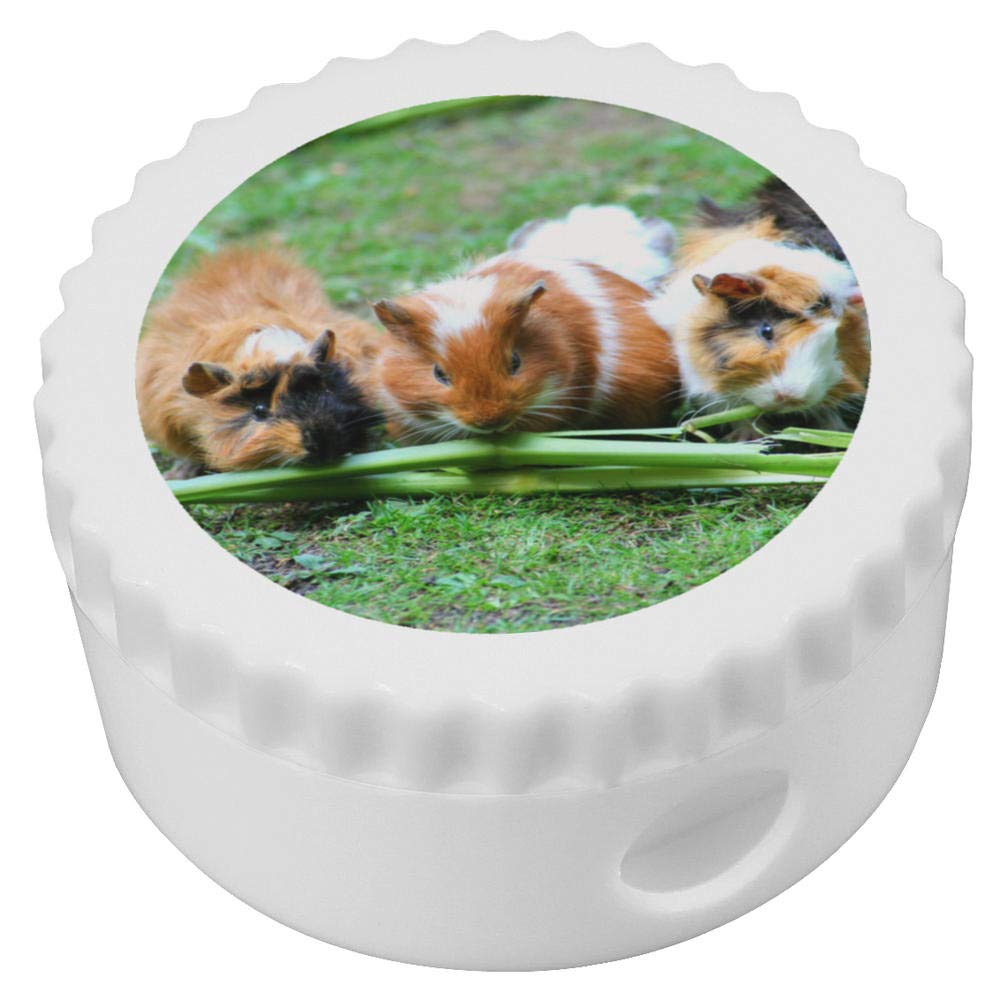 Azeeda Guinea Pigs Compact Pencil Sharpener - Perfect for School, Office & Art Supplies (PS00002682) - Ideal for Students, Teachers & Artists