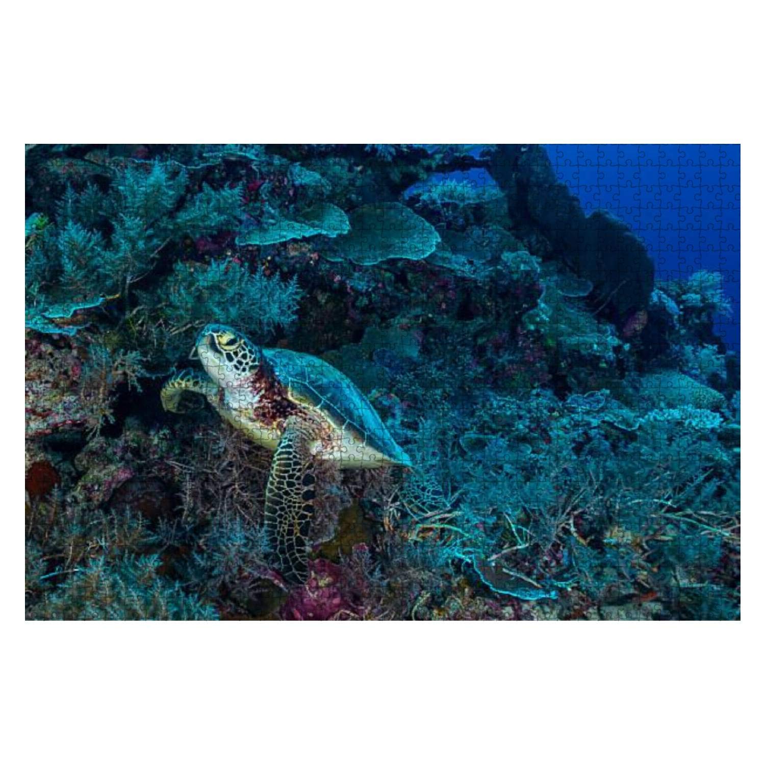 1000-Piece Wooden Jigsaw Puzzle - Green Sea Turtle & Hawksbill Sea Turtle - Educational & Stress Relief Puzzle Game for Kids & Adults - Perfect for Family Bonding & Classroom Learning