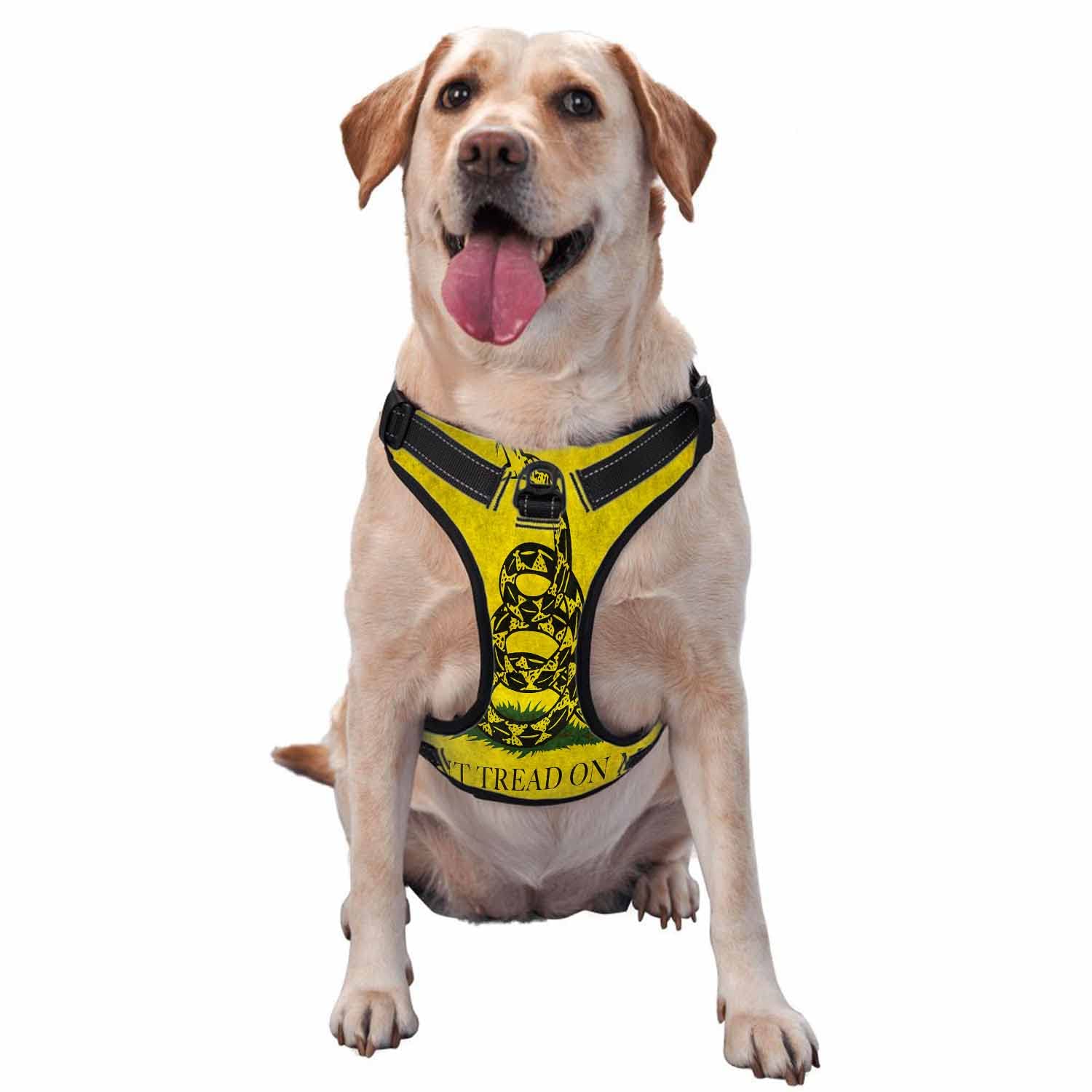 Zaueky Checkered Circle No-Pull Dog Harness Set - Adjustable Comfort Vest with Leash for Small Dogs & Puppies (Size S) - Perfect for Walking, Training, and Outdoor Adventures