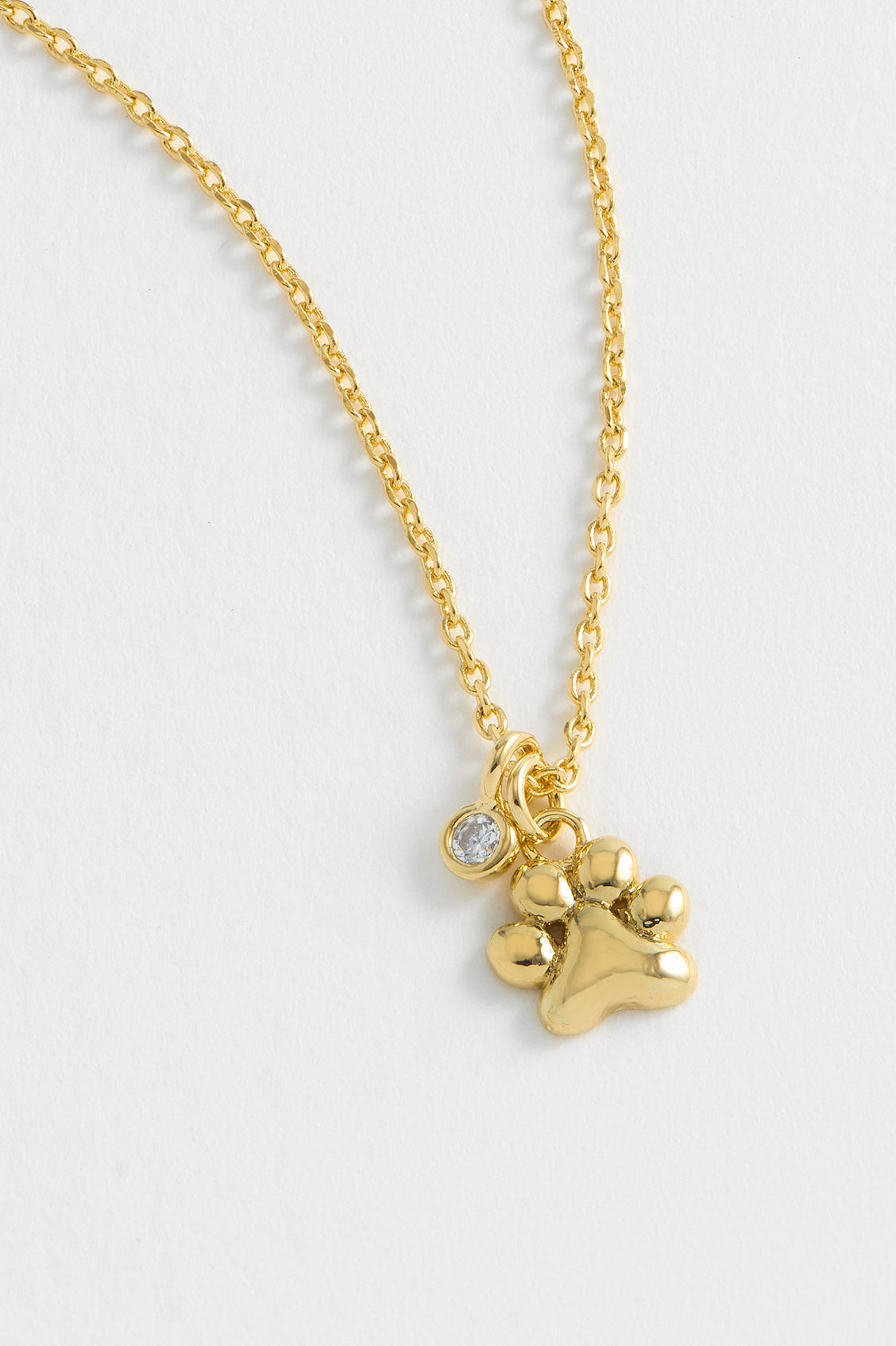 Paw Charm Necklace for Women - Cute Animal Jewelry Gift for Dog & Cat Lovers - Perfect for Pet Memorial, Birthday & Everyday Wear
