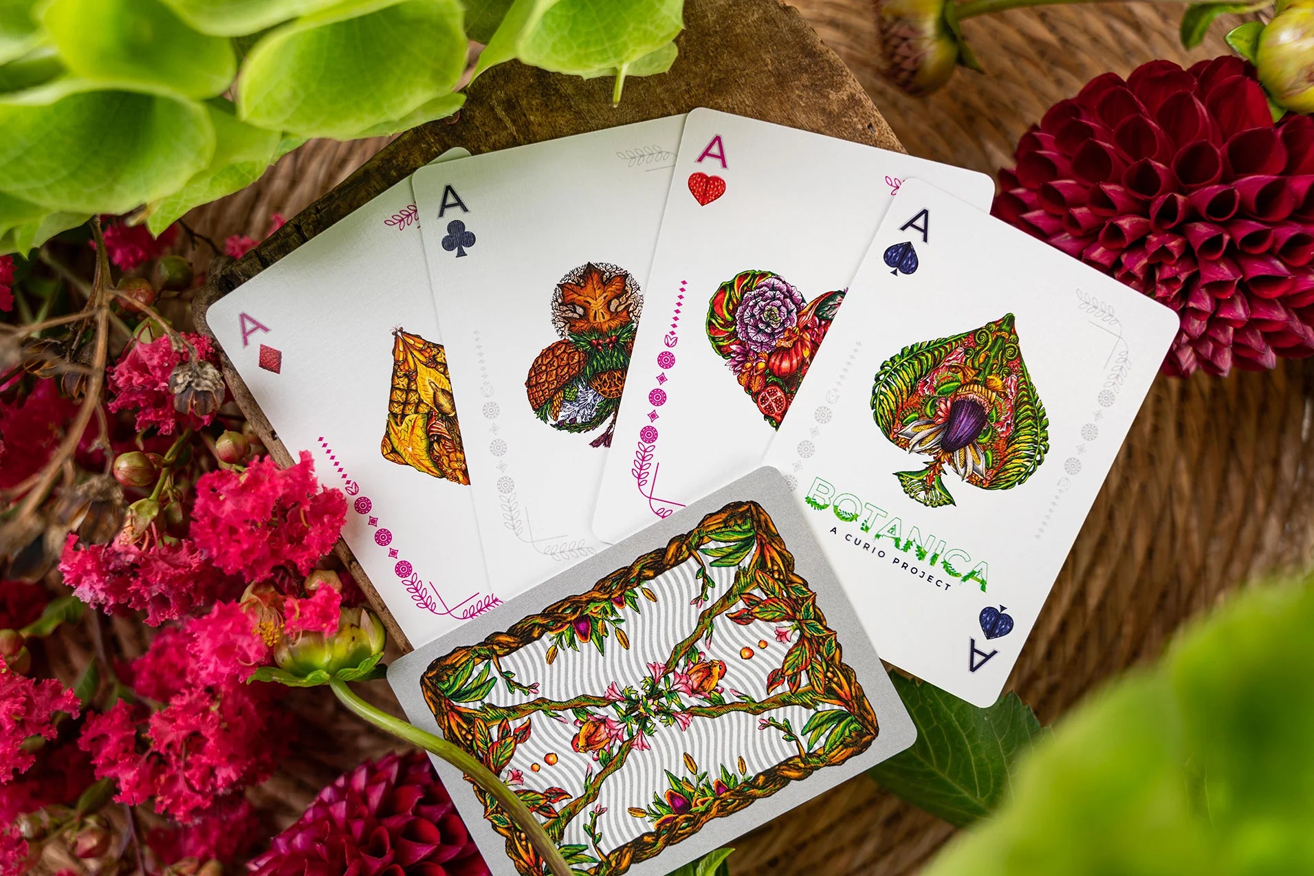 Botanica Playing Cards - Premium Floral Design Deck for Poker, Magic Tricks & Card Games | Perfect for Gifts, Collectors & Game Nights